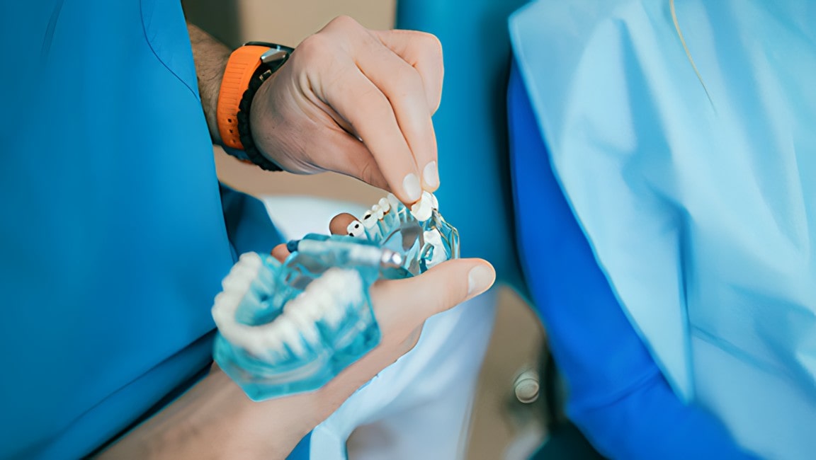 Professional dentist holding and examining a dental prosthesis.