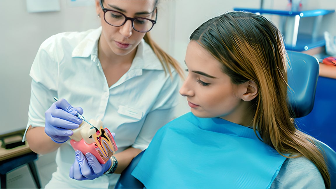 A female dentist educating a patient about dental care on a tooth and gum model.